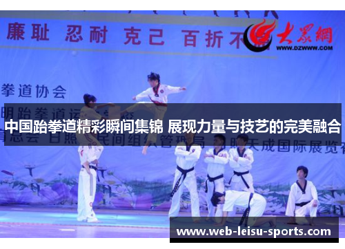 中国跆拳道精彩瞬间集锦 展现力量与技艺的完美融合