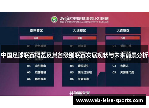 中国足球联赛概览及其各级别联赛发展现状与未来前景分析
