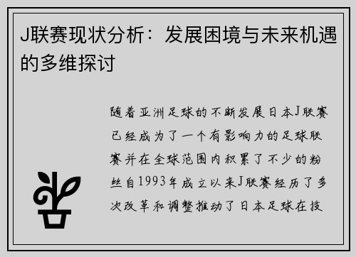 J联赛现状分析：发展困境与未来机遇的多维探讨